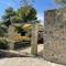 Ouzo Stone Studio