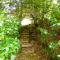 Hogsback Hidden Away - 豪格斯拜克