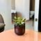 Studio apartman