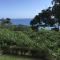 Chalet Tropical