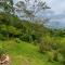 Cabaña El Ciprés: Vistas increíbles y Mirador - Turrialba