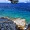 Seaside holiday house Prigradica, Korcula - 21988