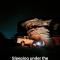 Bedouin experiences