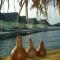 Punta Caracol Acqua Lodge