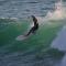 Paddle Out Morocco