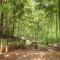 Serene Forest View- Hot Tub- Pet Friendly With Fenced Yard