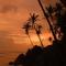 Samaro Resort