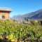 La Mijonnette des vignes