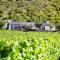 Mt Rosa Lodge Boutique Vineyard Accommodation