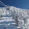 The perfect getaway for a small group or families - 斜坡村