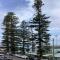 Seabreeze Luxury Apartment Kiama Seabreeze Luxury Apartment Kiama