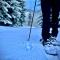 Chalet Wildalpen (in Ruhelage & mit Wellness)