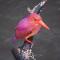 Celebes Birdpacker