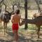 Coga Cottage - Marloth Park