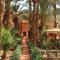 Riad le Petit Jardin - Zagora