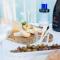 Apartment seafront Umag center old town seaview 4