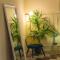 Telesio Suite