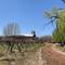 Albaflor wine house - Tunuyán