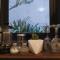 Comfy, Intimate Apartment with a Haunting Terrace - 墨西哥城