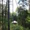 Allie Mae Yurt nestled in the woods - Brownfield