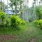 Greens Vista Wayanad - Premium Homestay Near Natural Stream - Panamaram