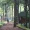 900 Woods Wayanad Eco Resort - A Sprawling Jungle Stay near Glass Bridge
