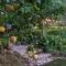 THE GOAT BOUTIQUE RESORT