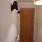 Town Centre Apartment in Gated Complex