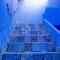 authentic blue house - Chefchaouene