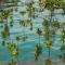 Ko Lanta Amantra Lake View Resort - 高兰