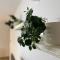 Apartman Alexandra