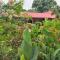 Balai Serama Guesthouse