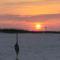 White Sands Haven - نافار