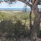 studio gruissan proche plage des chalets