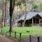 900 Woods Wayanad Eco Resort - A Sprawling Jungle Stay near Glass Bridge