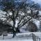 Hogsback Misty Oaks Cottage