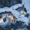 Blackcomb Springs Suites by CLIQUE