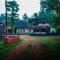 Vintage Vista
