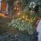 Retreat by Walias Entire Farm Pet-Friendly Sports