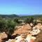 Shmulik Galilee