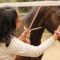 Farm Aavjo - A Conscious Stay