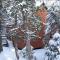 Summer Paradise Cabin in Acadia, near Long Pond - Somesville