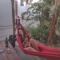 flying monkey hostel