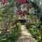 Jungle Farm, Digital Detox Cottage in Nicaragua