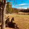 Ranch de Frisons le Fer à Cheval - Le Madison - Chalet Rustchic au pied du Mont Mégantic - La Patrie