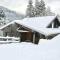 Chalet confortable, proche des pistes de ski, avec jardin, terrasses couvertes et Wi-Fi à La Bresse - FR-1-589-86