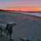 The Dune Beach House - Norfolk