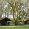 Migunga Tented Camp - Mto wa Mbu