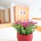 Apartment Edelweiss