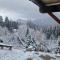 Alpine 1 bed Chalet with beautiful views - Le Biot